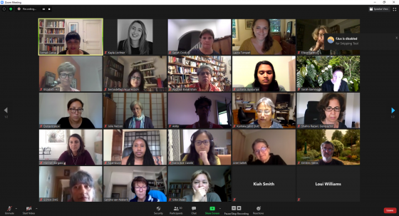 A screen showing tiles of participants for the IGD's online workshop.