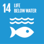 SDG14: Life on Water. The background is blue with a white fish below two waves.