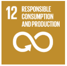 SDG12: Responsible Consumption and Production. The background is yellow with an infinity symbol underneath the text.