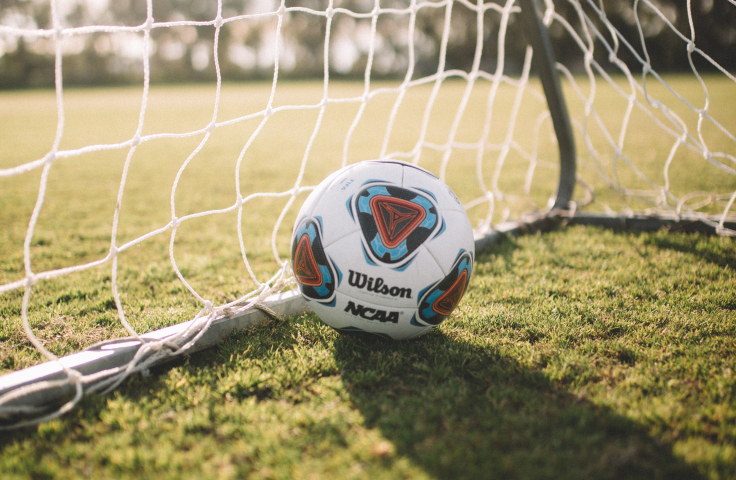 A soccer ball in the goal net on grass