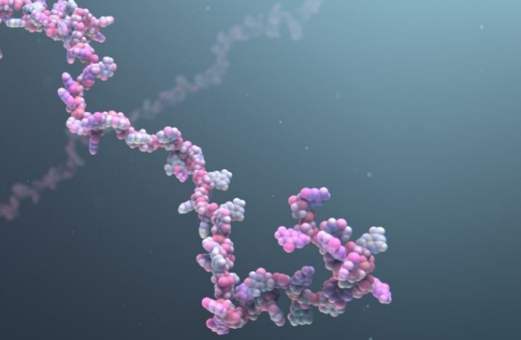 A depiction of a strand of purple and grey RNA