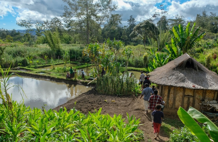 The image depicts a small home in Papua New Guinea with a large fishpond next to it. In the background is a tropical landscape.