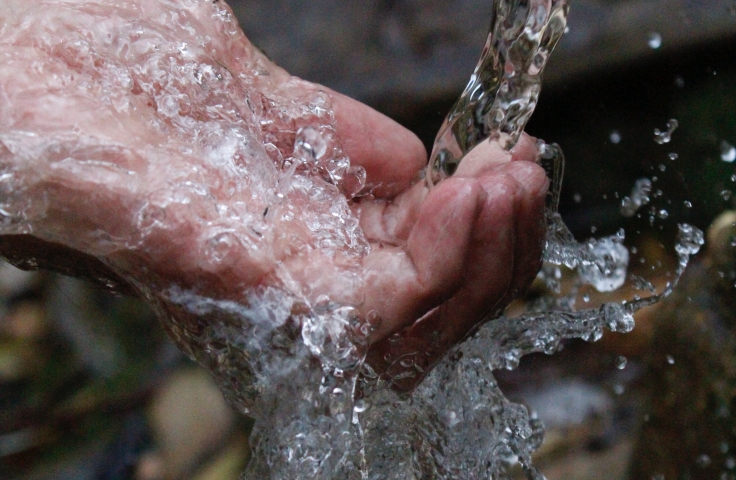 A hand is positioned under a running stream of water.