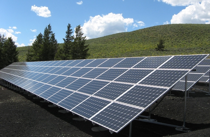 A large series of solar panels facing upward. The panels are on a hill in the background.