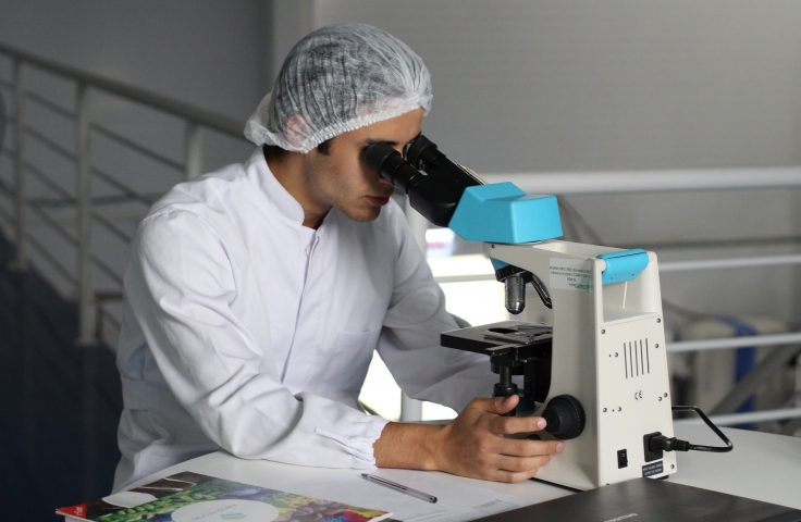A clinician looks wearing a hair net looks through a microscope. 