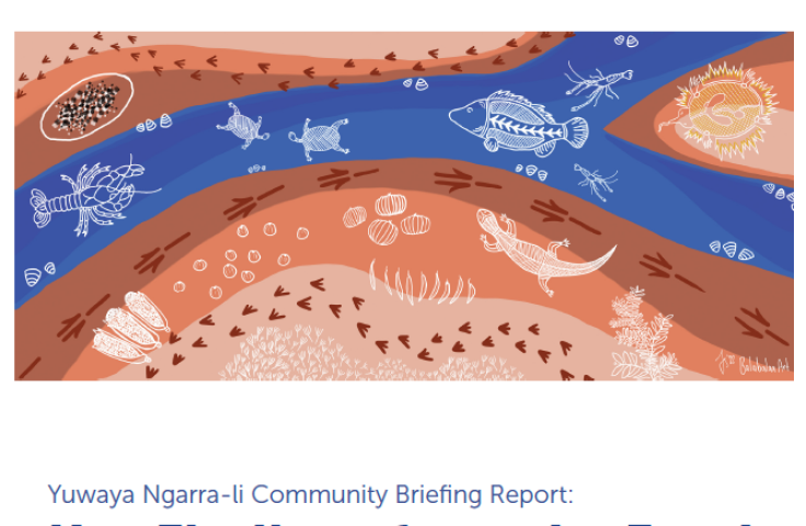 Yuwaya Ngarra-li Community Briefing Report: Key Findings from the Food and Water Security Surveys in Walgett