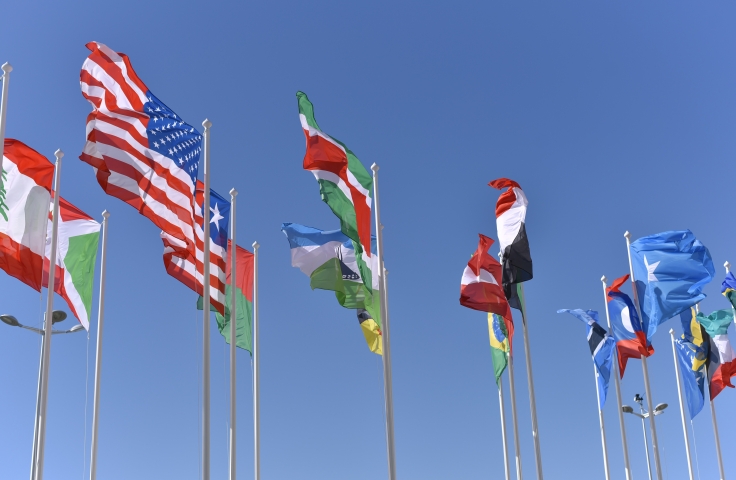 A series of international flags are waving in the wind. 