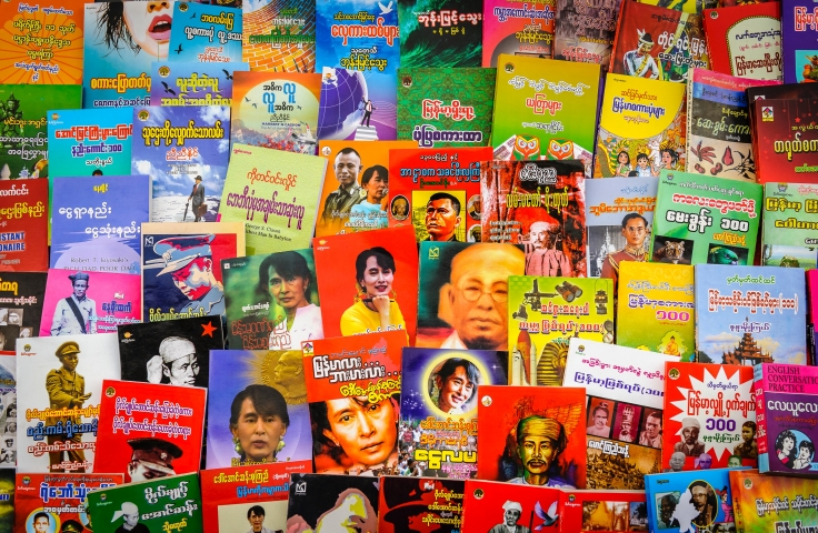 The image depicts various publications with Aung San Suu Kyi on them. The publications are in various colours, including red, green, yellow and blue. The writing is in Burmese.