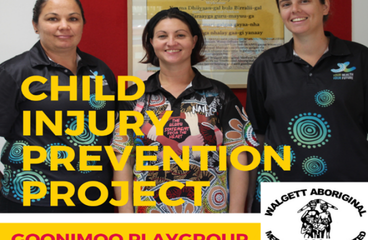 Child Injury Prevention Project- Goonimoo playground 