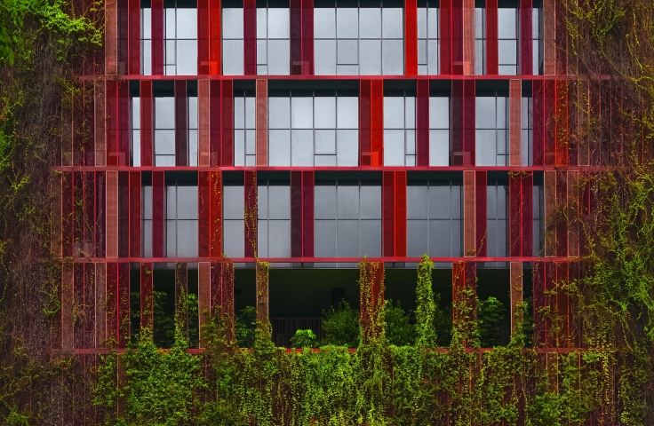 A building with windows is overgrown with vines.