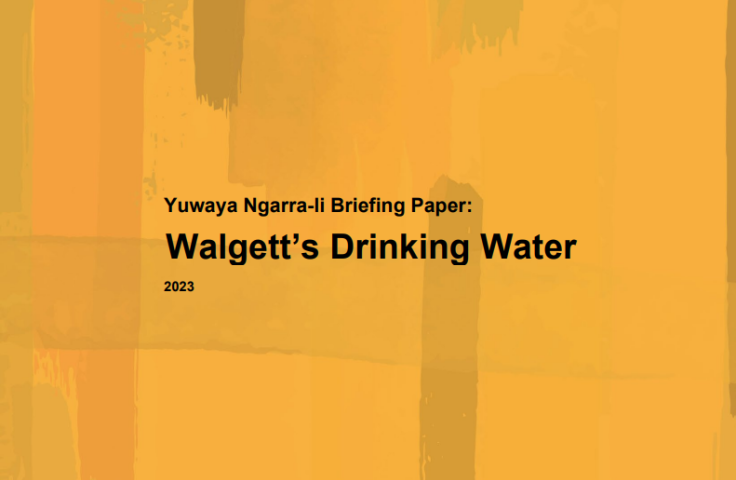 Yuwaya Ngarra-li Briefing Paper: Walgett's Drinking Water 2023